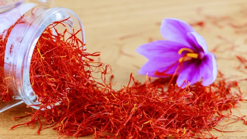 Credit: ZhakYaroslav via Shutterstock