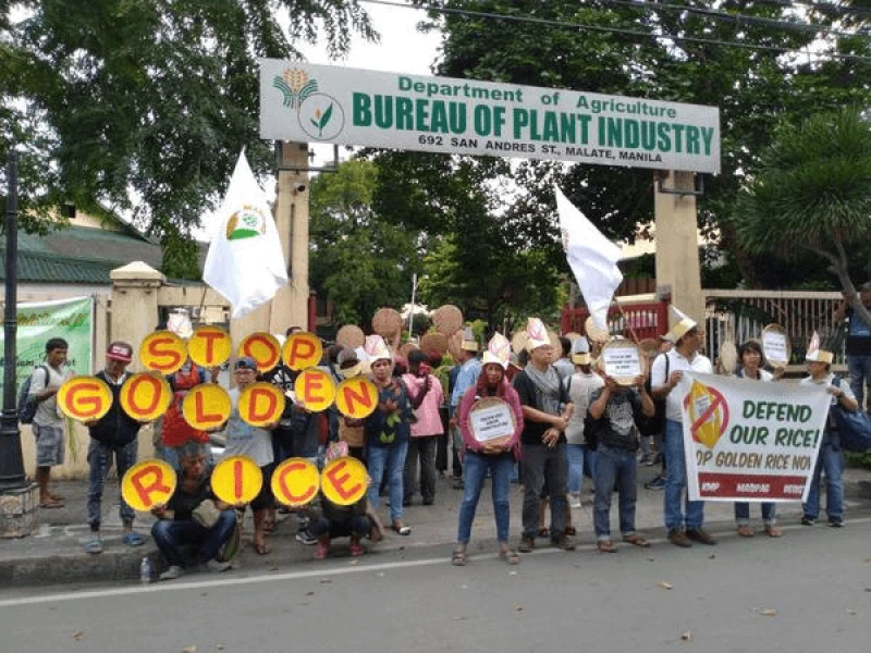 A-demonstration-against-Golden-Rice-Manila A demonstration against Golden Rice, Manila. Credit: Ryan Damaso/MASIPAG