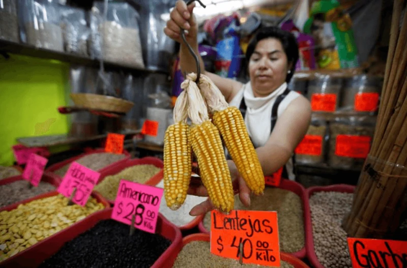 Credit: Henry Romero/Reuters