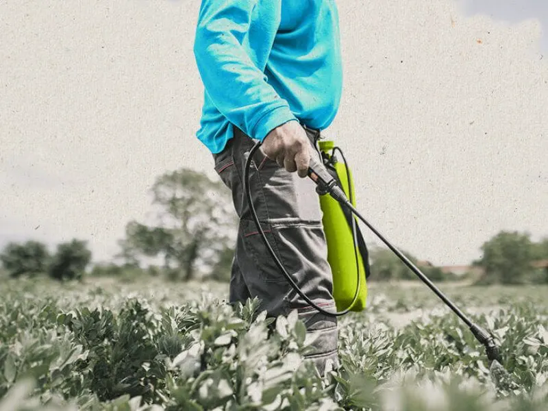 gettyimages thumb x Credit: TwentySeven/Getty Images