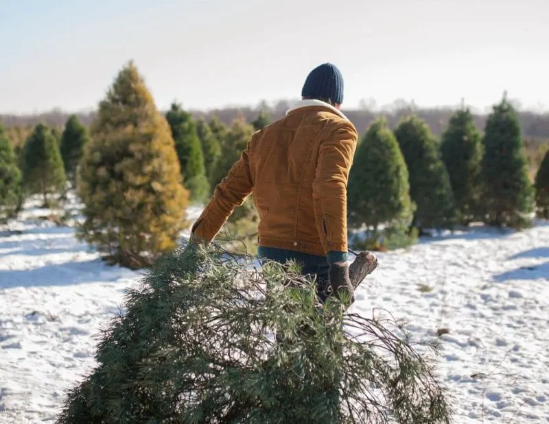 Credit: Getty Images