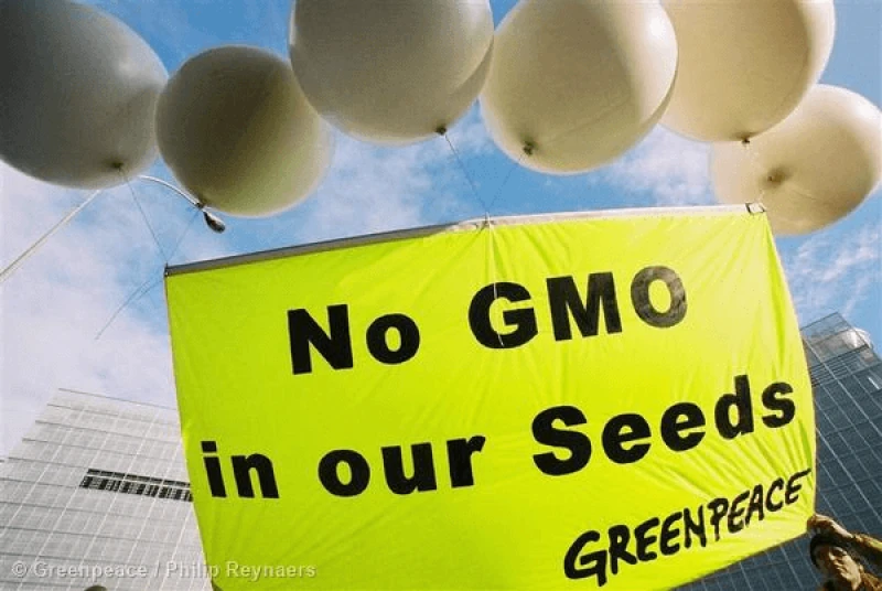 gp wod gmos