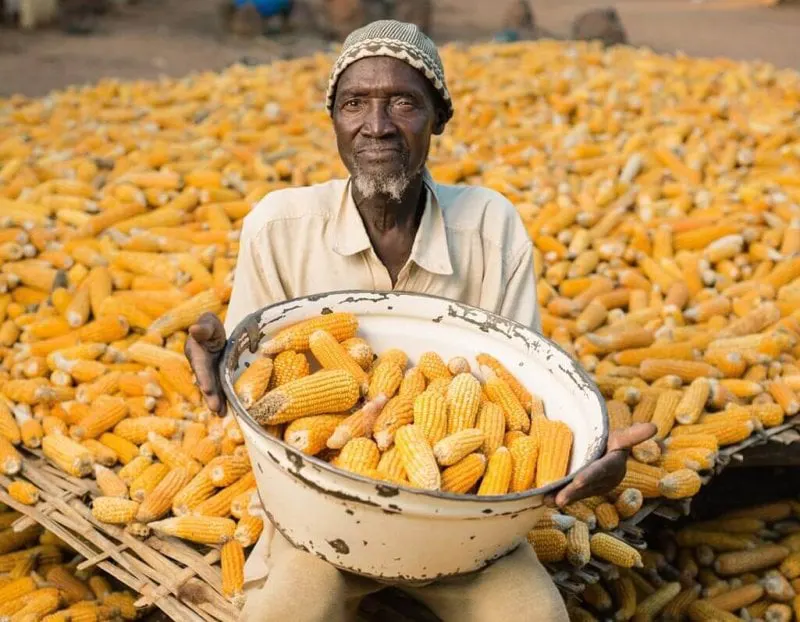 Credit: National Geographic