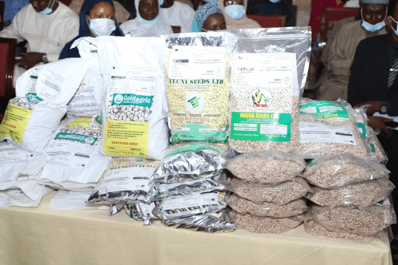 pbr cowpea launch