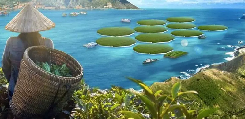 A dream of salt tolerant rice paddies on the ocean. Credit: Agrisea
