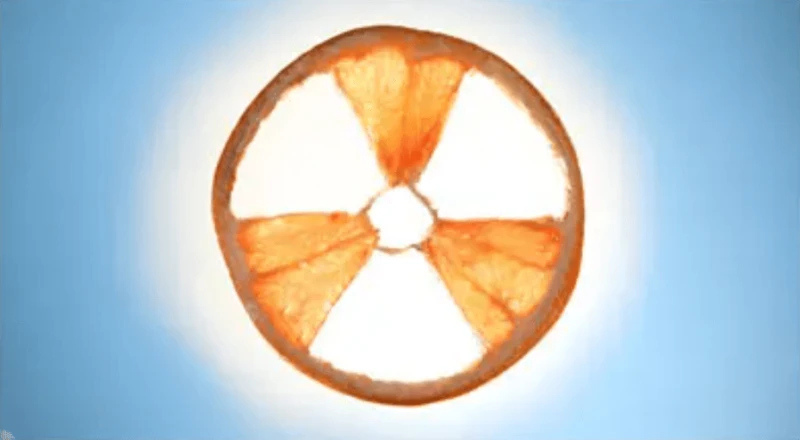 Credit: New York Times