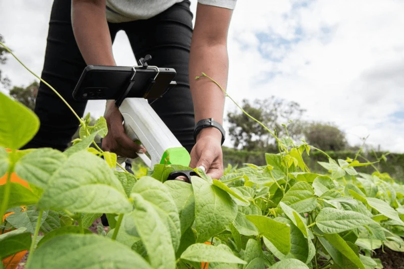 collecting digital data for ai breeding models to detect disease at the alliance of bioversity international and ciat field trials in arusha collecting digital data for ai breeding models to detect disease at the alliance of bioversity international and ciat field trials in arusha