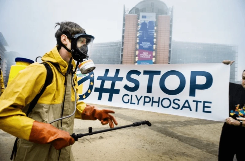 Credit: Greenpeace
