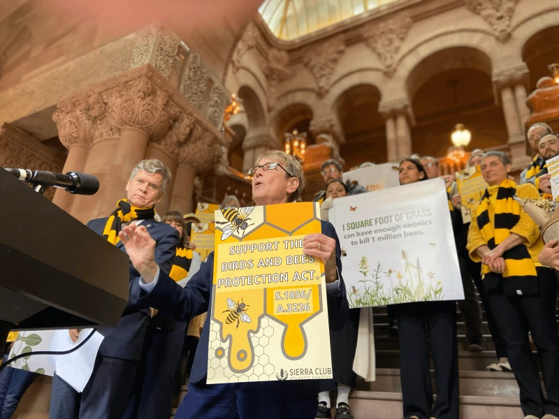 deborah glick speaks at rally for birds and bees bill on may in state capitol photo by zach w deborah glick speaks at rally for birds and bees bill on may in state capitol photo by zach w