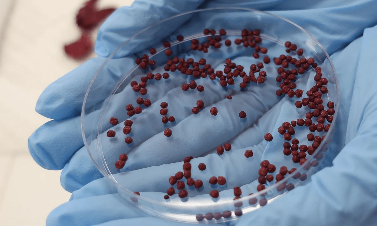 roselle beads closer px