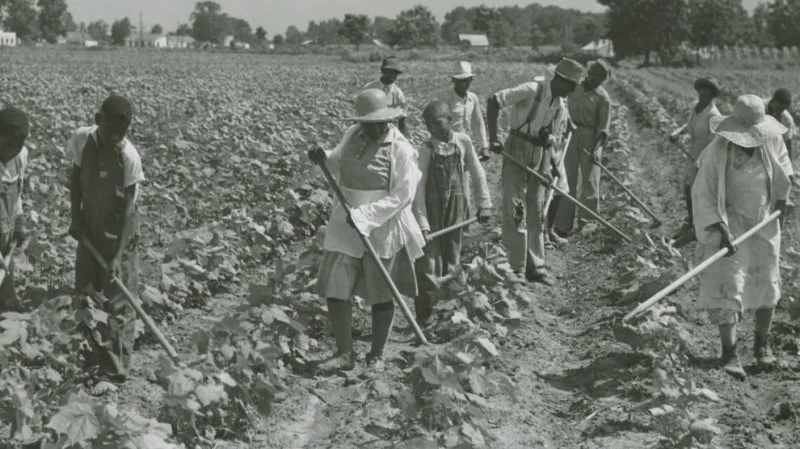 1940s farmers toiling to produce food and build wealth. Credit: Marion Post
