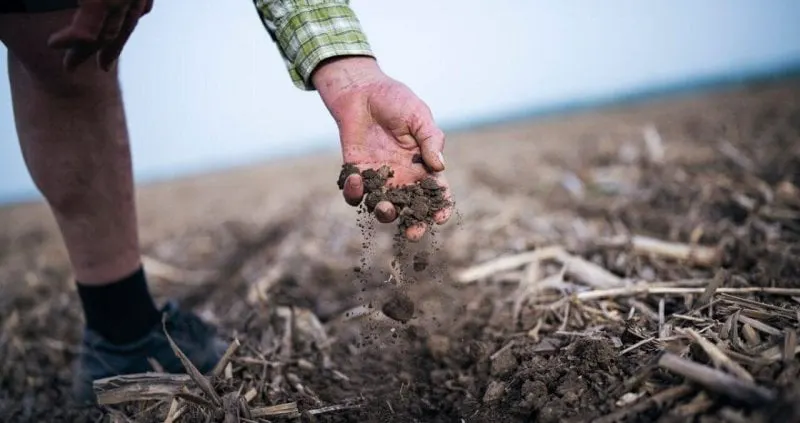Capturing carbon in soil seems to be the trend. Credit: ArtistGNDphotography/iStock