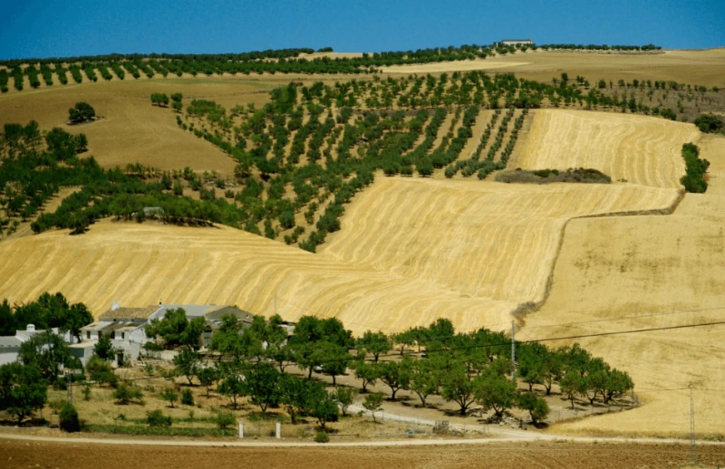 Spanish agriculture may be particularly vulnerable to climate change. Credit: PxHere via CC0-1.0