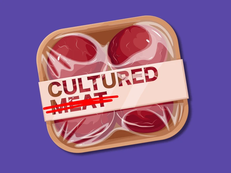 arizona republican lab grown meat ban bill arizona republican lab grown meat ban bill