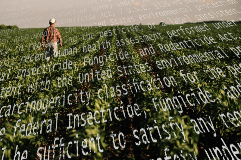 chemical capture pesticide chemical companies lawsuits bayer monsanto chemchina syngenta iowa idaho legislation top chemical capture pesticide chemical companies lawsuits bayer monsanto chemchina syngenta iowa idaho legislation top