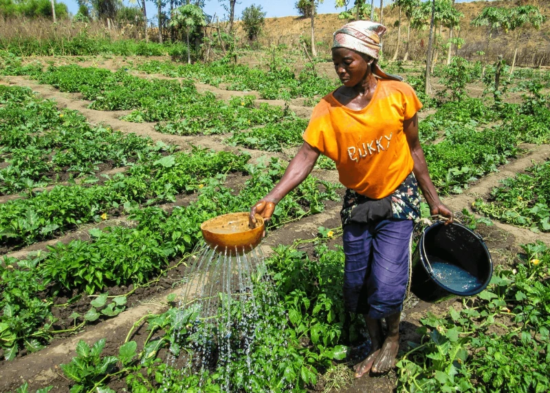 farming usaid