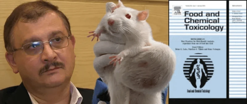 seralini tumour rat food and chemical toxicology px seralini tumour rat food and chemical toxicology px