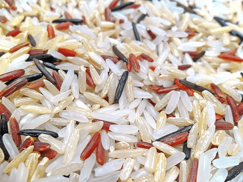 png rice variety