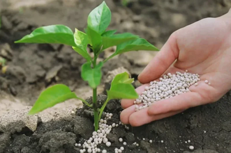 nanotechnology-in-agriculture-2 nanotechnology-in-agriculture-2