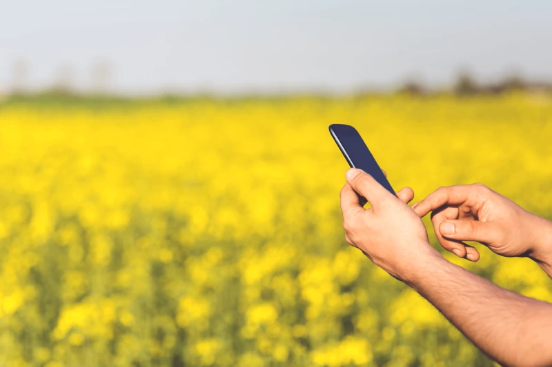 man field smartphone yellow