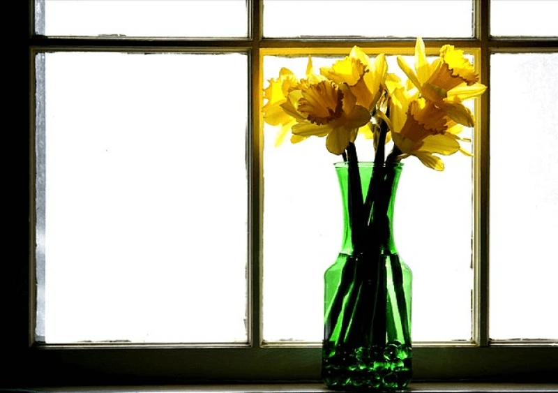 Credit: liz west via CC-BY-2.0