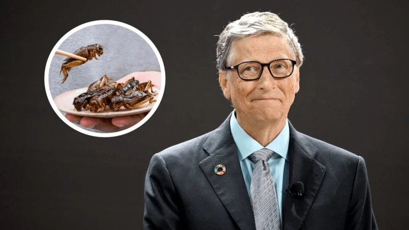 bill gates advised eating crickets bill gates advised eating crickets