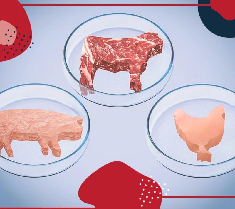 RafterWRanch_Blog_Image_CultivatedMeat_LARGE-980x873