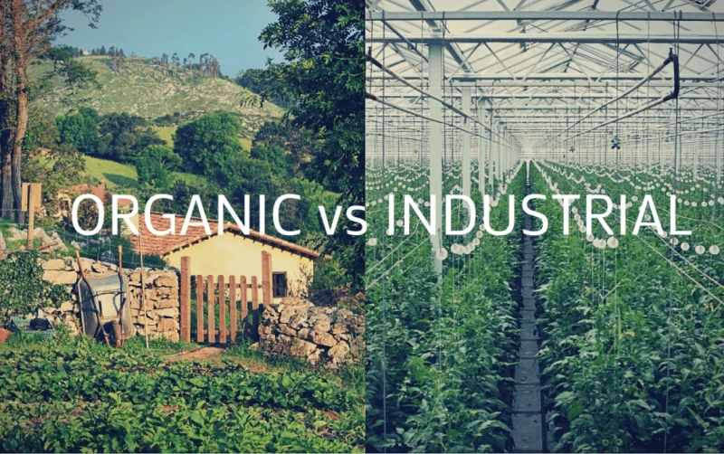 Credit: Agritech World/LinkedIn