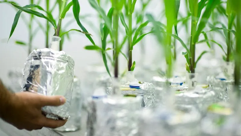 Credit: Michael Gottschalk