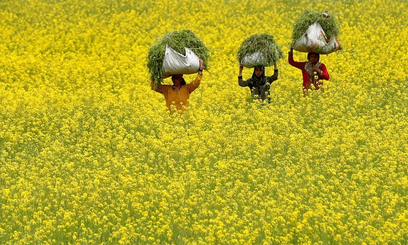 Credit: Danish Ismail/Reuters