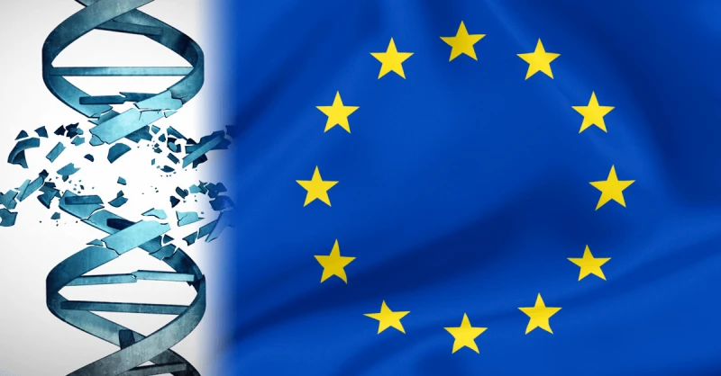 EU_Flag_damaged_DNA_1200x628 (1) Credit: Andrey Kuzmin