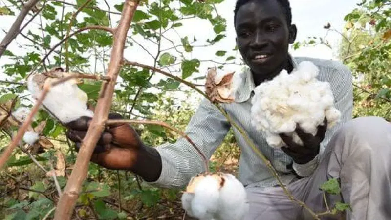 Credit: Jared Nyataya