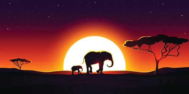 The savannahs are just one of Africa's biomes under threat from climate change. Credit: Nataniil via Getty Images