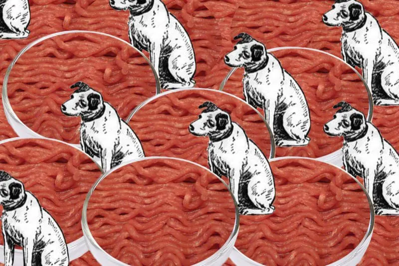 cultured-pet-food-because-animals Credit: New Harvest