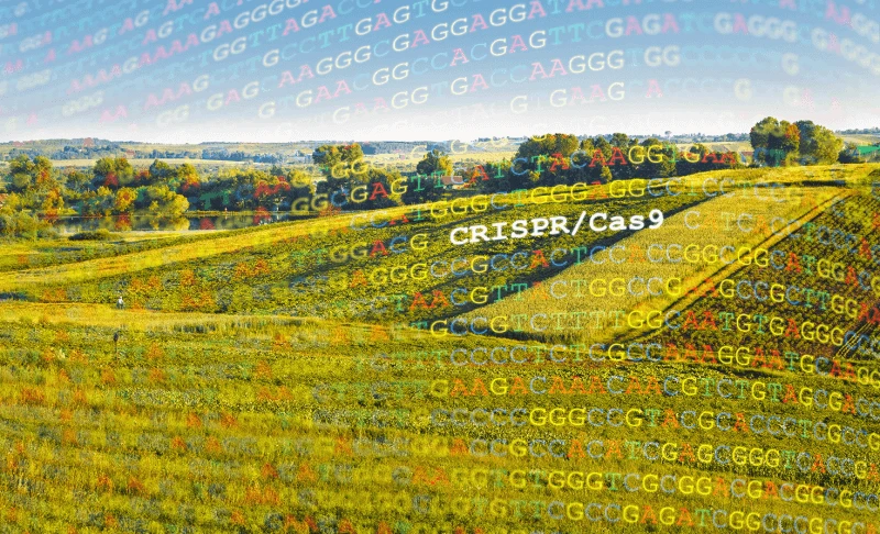organicagriculture pfvvjmabx x o fkckcz gg k wfqwy lfg