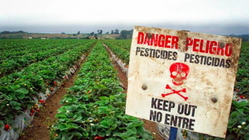 1070589577 Credit: Beyond Pesticides