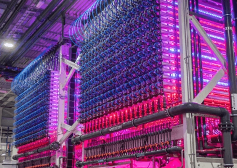 Thousands of tiny red and blue LED lights fuel the microalgae’s growth, in place of sunlight. Credit: Vaxa
