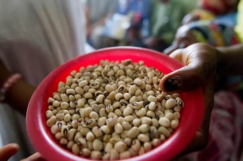 Credit: Bill & Melinda Gates Foundation/Akintunde Akinleye