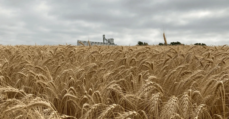 Credit: Farm Progress