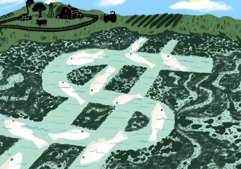 Artistic representation of agricultural runoff, one of the pollutants that funding can help reduce. Credit: Paige Vickers