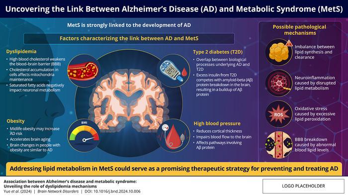 Researchers explore the links between Alzheimer’s disease (AD) and metabolic syndrome