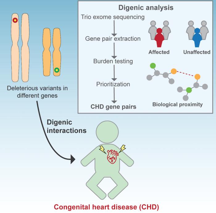Congenital heart disease