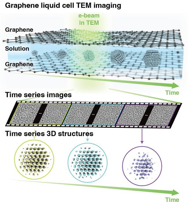 Figure 1. Method for analyzing 3D atomic structural changes in nanoparticles using the time-resolved Brownian tomography technique.