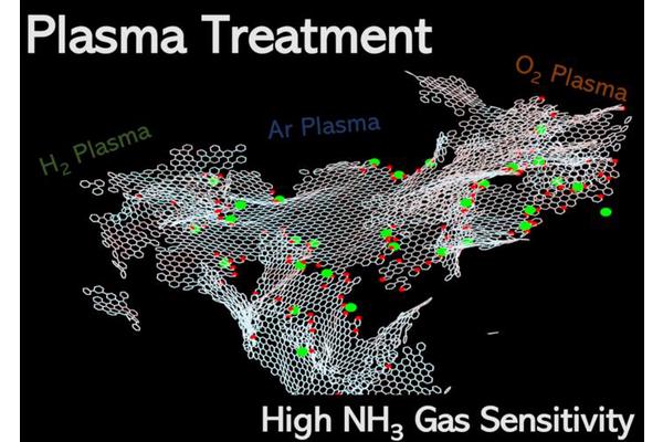 Enhancing Gas Sensor Performance Through Plasma-Modified Graphene