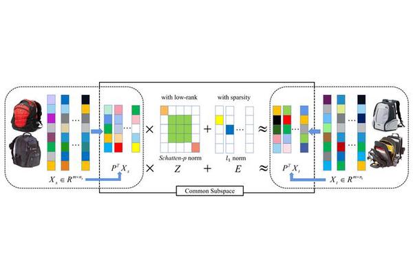 Advancements in Nonconvex and Discriminative Transfer Subspace Learning