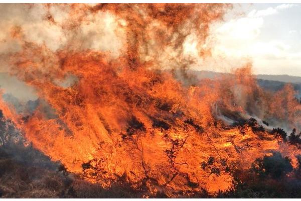 UK Peatland Fires Amplify Carbon Emissions Amid Rising Temperatures and Drought Conditions