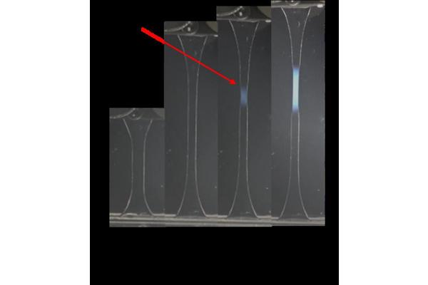 Revolutionary Double Network Hydrogel Polymers Exhibit Swift Self-Strengthening Properties