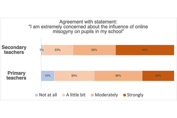 Educators Voice Serious Worries Over Impact of Online Misogyny on Student Development