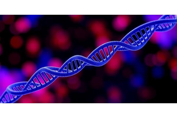 Breakthrough Genetic Testing Paves the Way for Tailored Treatments in Childhood Cancer Across the UK