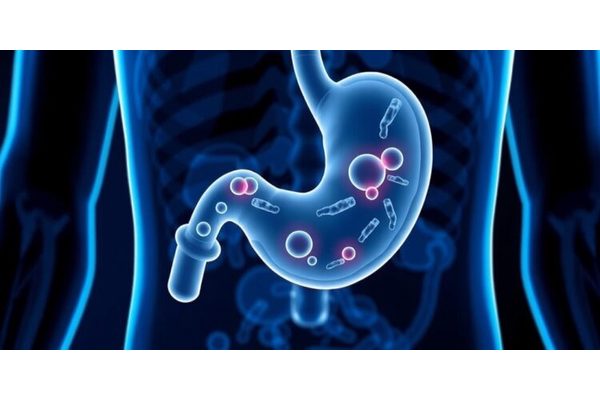 Bacterial Leakage from Stomach Lining May Signal Increased Risk of Gastric Cancer, According to New Study